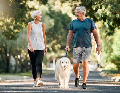 Couple Walking with Dog After Arthritis Treatment near Macomb Township MI